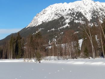 wer sieht die Skisprungschanzen?
