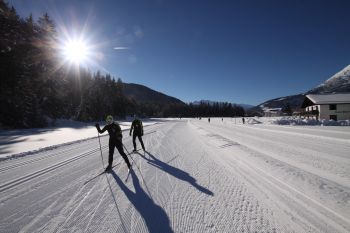 Detaillierte Infos zur Unterkunft Haus Waldruh