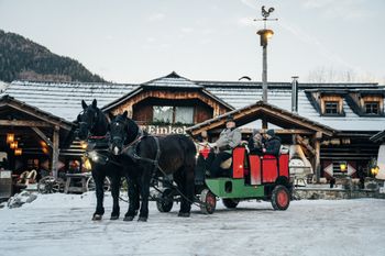 Detaillierte Infos zur Unterkunft Hotel GUT Trattlerhof & Chalets