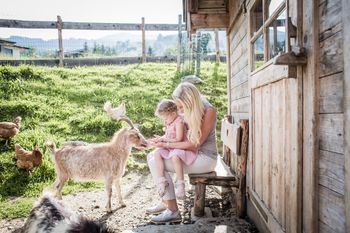 Detaillierte Infos zur Unterkunft Hotel AlpenSchlössl