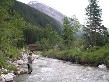 Detaillierte Infos zur Unterkunft Hotel Garni Forelle****und Gästehaus***