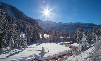 Detaillierte Infos zur Unterkunft Alpin Life Resort Lürzerhof