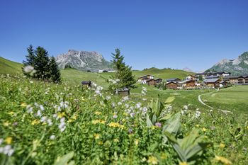 Detaillierte Infos zur Unterkunft Hotel Mohnenfluh****