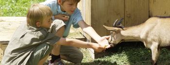 Detaillierte Infos zur Unterkunft Hotel Mohnenfluh****