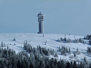 Der Feldberg