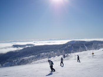 Detaillierte Infos zur Unterkunft Landhotel Sonneck