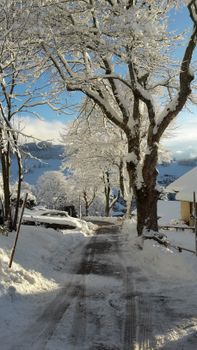 Blick den Hornweg runter von der Panorama Lodge Sonnenalm