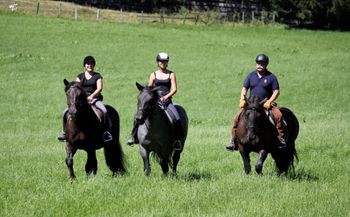 Ausritte und Reitunterricht