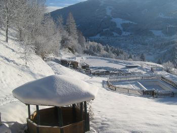 Detaillierte Infos zur Unterkunft Landhof Kreuzsalgut