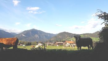 Detaillierte Infos zur Unterkunft Landhaus Müller