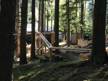 Der Kugelwald am GLUNGEZER