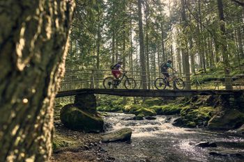 Urlaubsempfehlung: die geführten Mountainbike Touren von Bodenmais