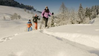 Detaillierte Infos zur Unterkunft Sport- und Wellnesshotel Held