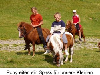 Ponyreiten ein Spass für Ihre Kleinen