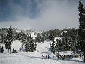 Mt Hood Meadows covers a large area.