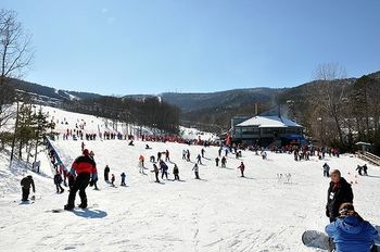 Information about the ski resort Massanutten Resort