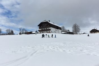 You can stop for a bite to eat on the slope of the Almwiesen lift at the Gasthof Alpe, among others.