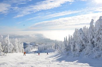Information about the ski resort Mont Orford