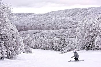 Information about the ski resort Mont Sutton