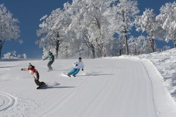 Nozawa Onsen is one of Japan's largest ski resorts and a true snow paradise.