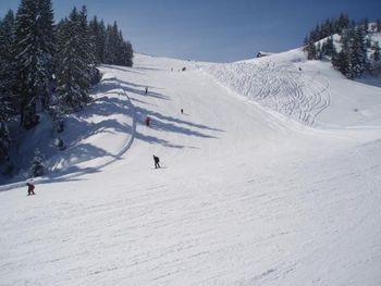 Information about the ski resort Alpenarena Hochhäderich