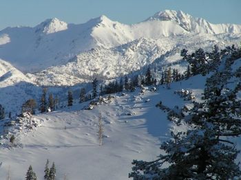 Information about the ski resort Bear Valley