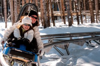 Hop in and off you go with the Gold Runner Alpine Coaster: A blast for everyone!