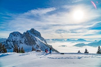 Information about the ski resort Breitenberg