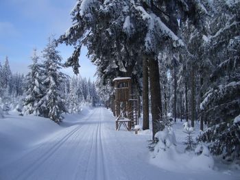 Cross-country skiers will find beautiful trails around Carlsfeld.