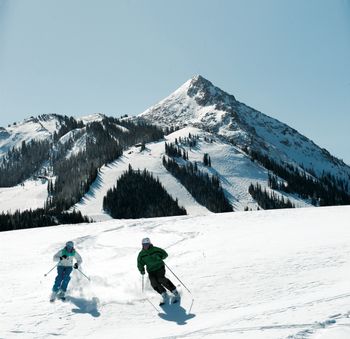 Information about the ski resort Crested Butte