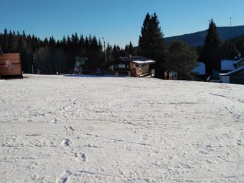 Information about the ski resort Fischbach Lifts