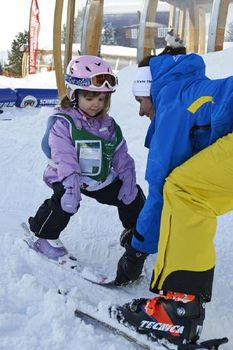Information about the ski resort Hochwang