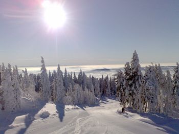 Information about the ski resort Hochficht