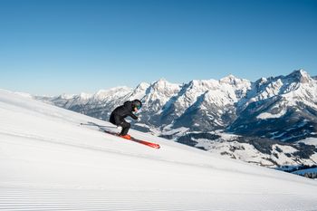 Information about the ski resort Hochkönig