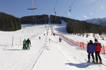 Information about the ski resort Lunz am See - Maiszinken