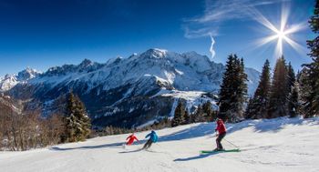 Information about the ski resort Les Houches (Vallée de Chamonix)