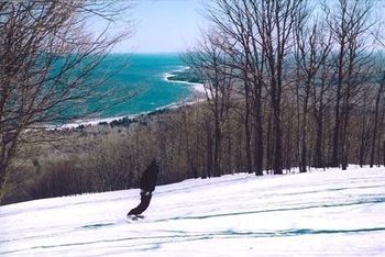 Information about the ski resort Porcupine Mountain