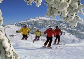 Information about the ski resort Rigi