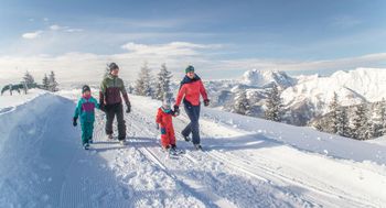 Information about the ski resort Steinplatte – Winklmoosalm