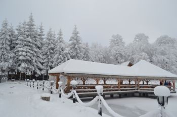 Information about the ski resort Suior Ski Resort