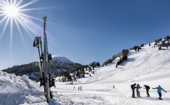 Information about the ski resort Schönfeld im Thomatal Ski Resort