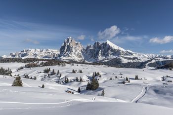 Information about the ski resort Seiser Alm