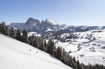 Information about the ski resort Seiser Alm