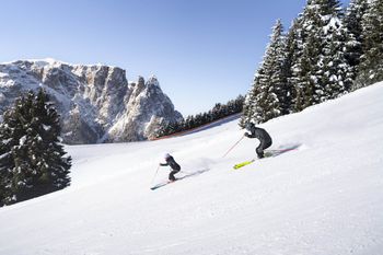 Information about the ski resort Seiser Alm
