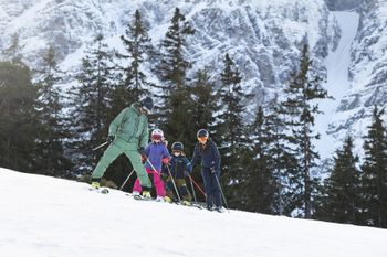 Information about the ski resort Serlesbahnen Mieders
