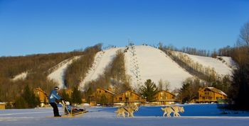 Information about the ski resort Shanty Creek Resort