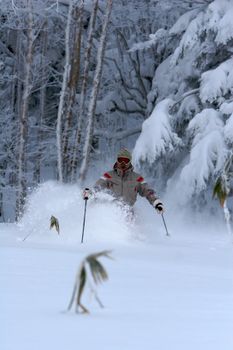 Shigakogen Mountain Resort usually has a very long season, lasting from November to mid-May.