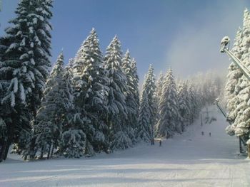 Information about the ski resort Spicak Zelezna Ruda