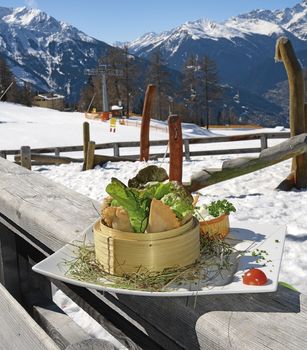 Information about the ski resort Venet