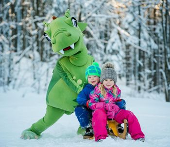 Information about the ski resort Voithenberg Gibacht